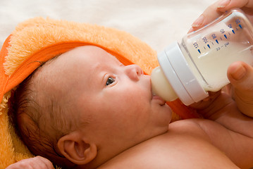 Image showing feeding baby