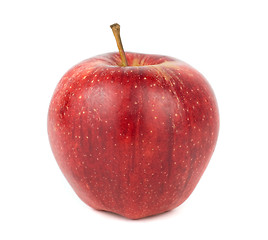 Image showing Red ripe apple