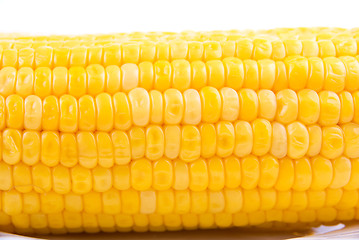 Image showing Corn background