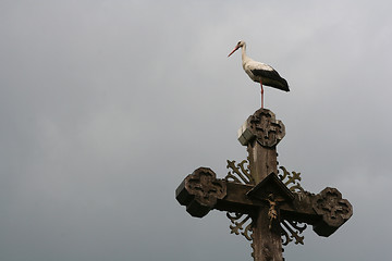 Image showing Stork on a Cross