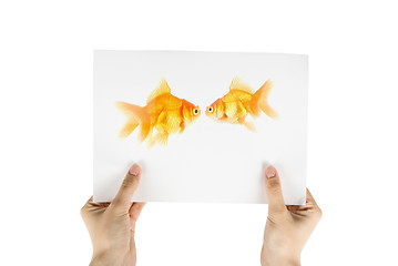 Image showing gold fish photo