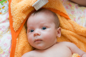 Image showing brushing hair