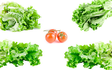 Image showing green lettuce set and  tomato