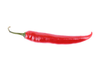 Image showing red hot chili pepper