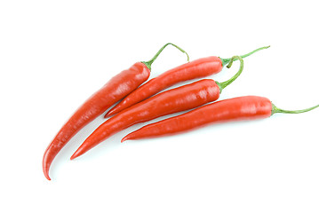 Image showing red hot chili pepper