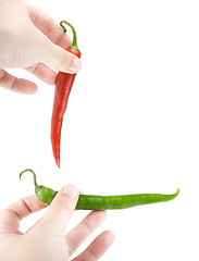 Image showing Hot peppers