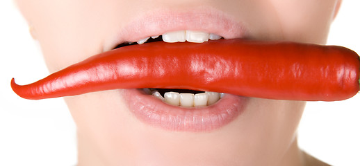 Image showing chili  pepper 