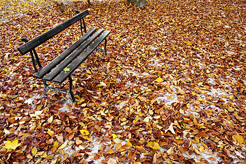 Image showing Bench and Leaves