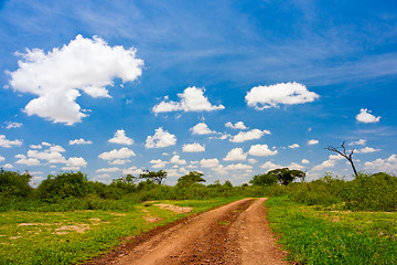 Image showing Dirt Road