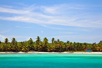 Image showing Caribbean Beach