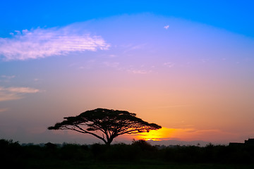 Image showing African Sunrise