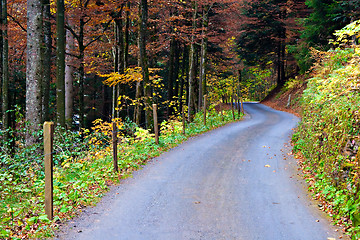 Image showing Road in the Woods