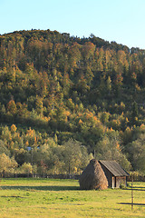 Image showing Autumn landscape