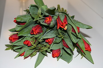 Image showing Tulips in red