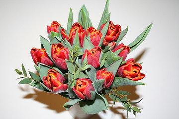 Image showing Tulips in red