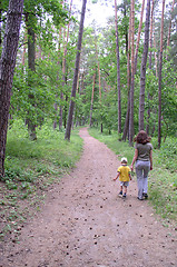 Image showing A Walk in the Forest