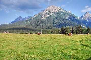 Image showing Dolomites, Italy, 2007