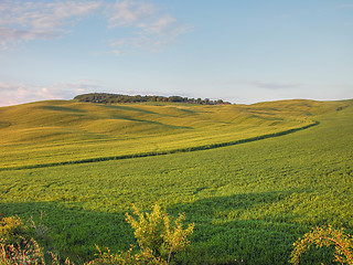 Image showing Tuscan Countryside, Italy