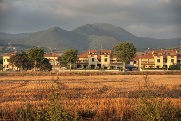 Image showing Tuscan Countryside, July 2007