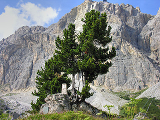 Image showing Dolomites Mountains, Italy, Summer 2009