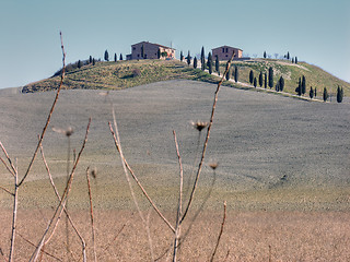 Image showing Countryside near Siena, Tuscany, Italy