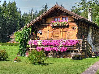 Image showing Dolomites Mountains, Italy, Summer 2009