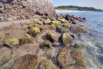 Image showing Tuscan Coast, Autumn 2008