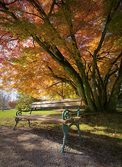 Image showing Bench