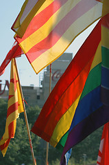 Image showing GAY PRIDE