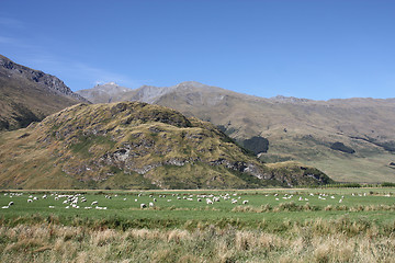 Image showing New Zealand