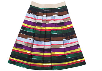 Image showing Variegated Women's skirt