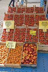 Image showing Fruits at a marketplace