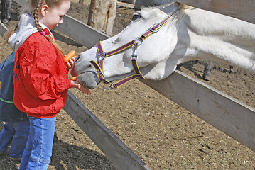 Image showing children and horse