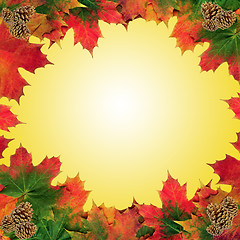 Image showing Autumn Leaf Beauty