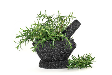 Image showing Rosemary Herb