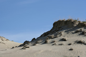 Image showing Dunes