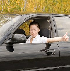 Image showing happy driver