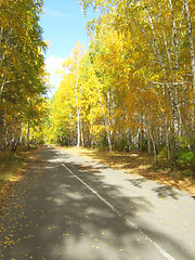 Image showing road in forest