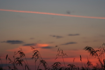 Image showing SKy at Sunset