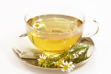 Image showing Camomile tea