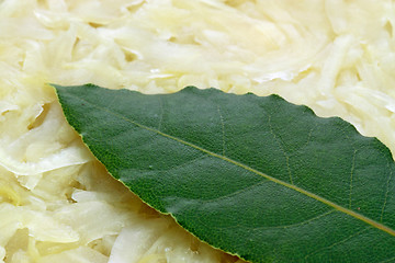 Image showing Sauerkraut