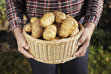 Image showing Potatoes