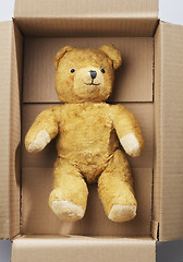 Image showing Teddybear transport