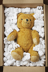 Image showing Teddy bear transport