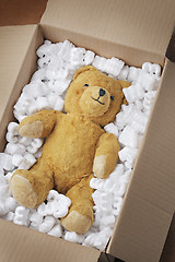 Image showing Teddy bear transport