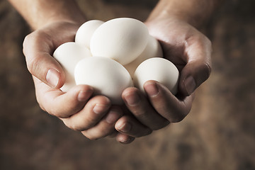 Image showing Fresh eggs