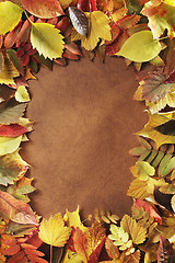 Image showing Autumn frame