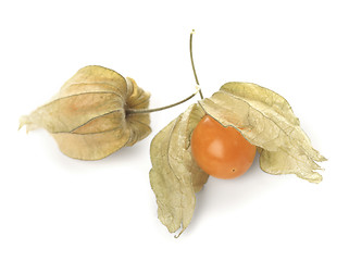 Image showing Physalis