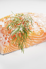 Image showing Salt cured salmon