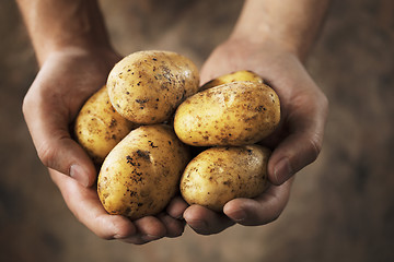 Image showing Potatoes